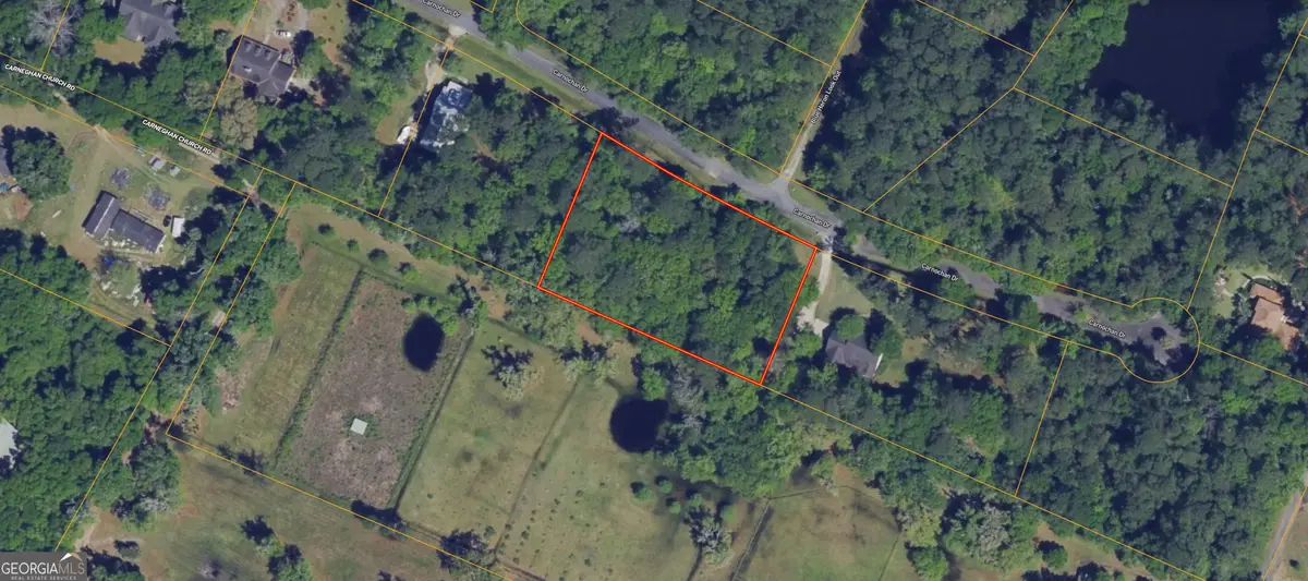 0 Carnochan Drive, Darien, GA 31305 - #1