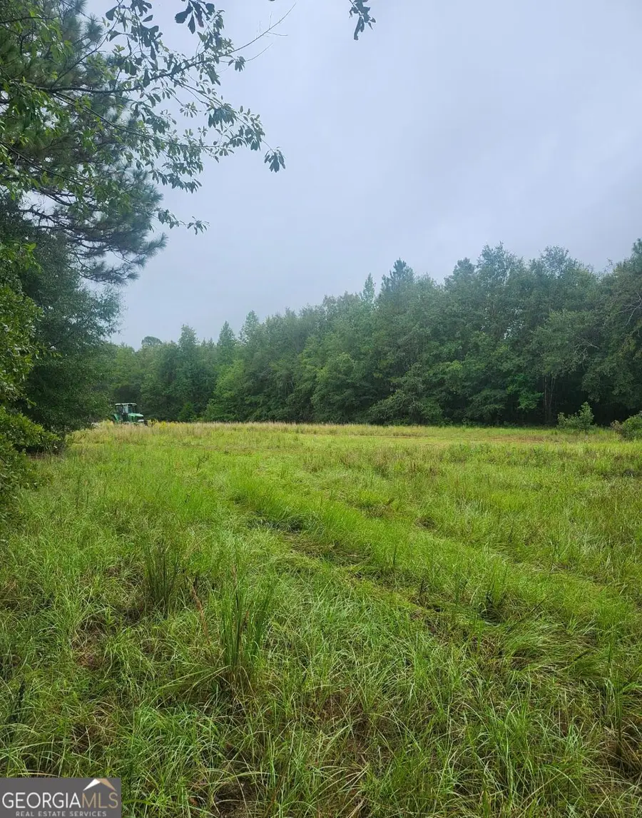 0 Lewis Station Road, Sylvania, GA 30467 - #2