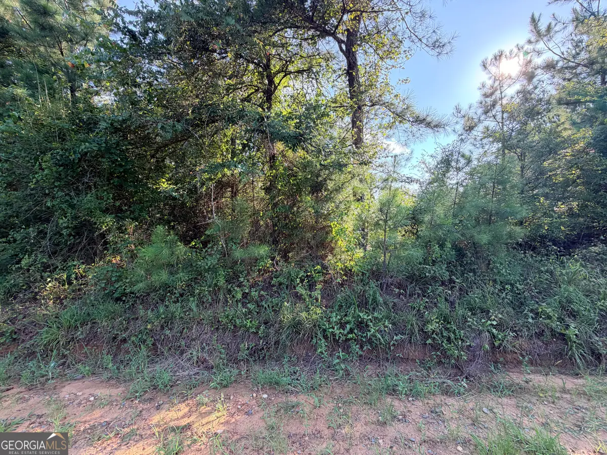 0 Hollis Road, Roberta, GA 31078 - #1