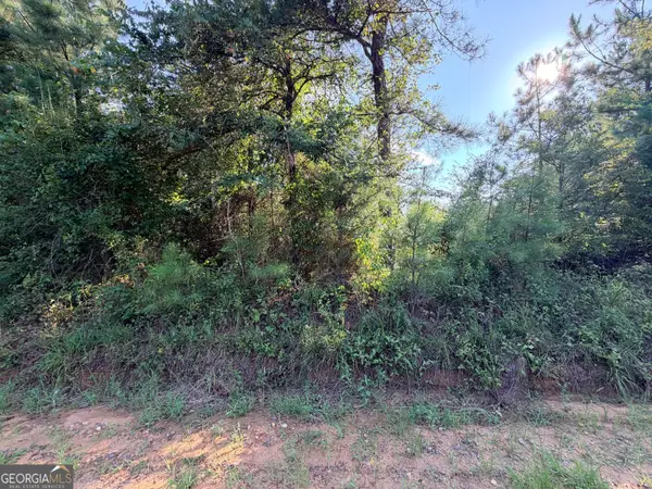 0 Hollis Road, Roberta, GA 31078