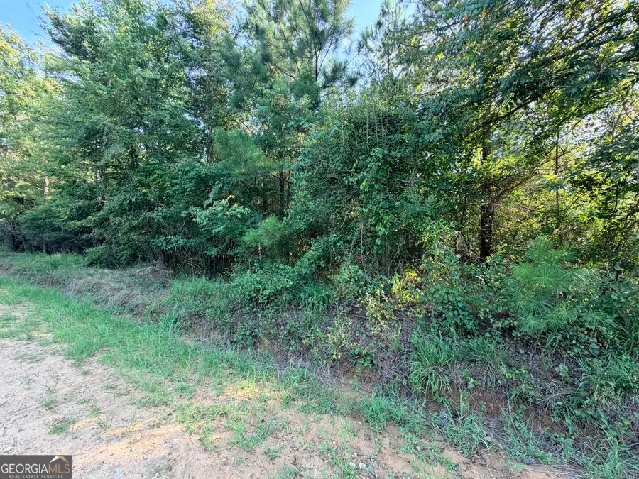0 Hollis Road, Roberta, GA 31078 - #3
