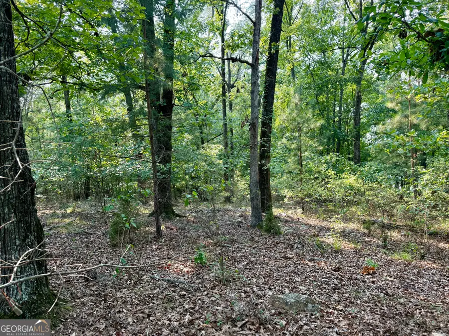 101 Stanton Drive, Eatonton, GA 31024 - #3