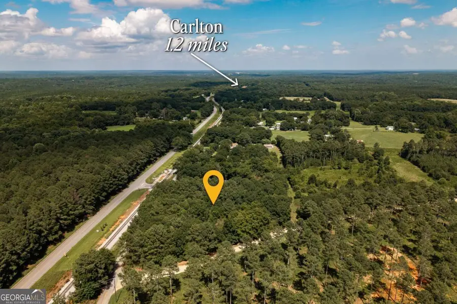 0 West Street, Carlton, GA 30627 - #3