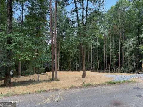 LOT 195 Shenendoa Drive #195, Ellijay, GA 30540