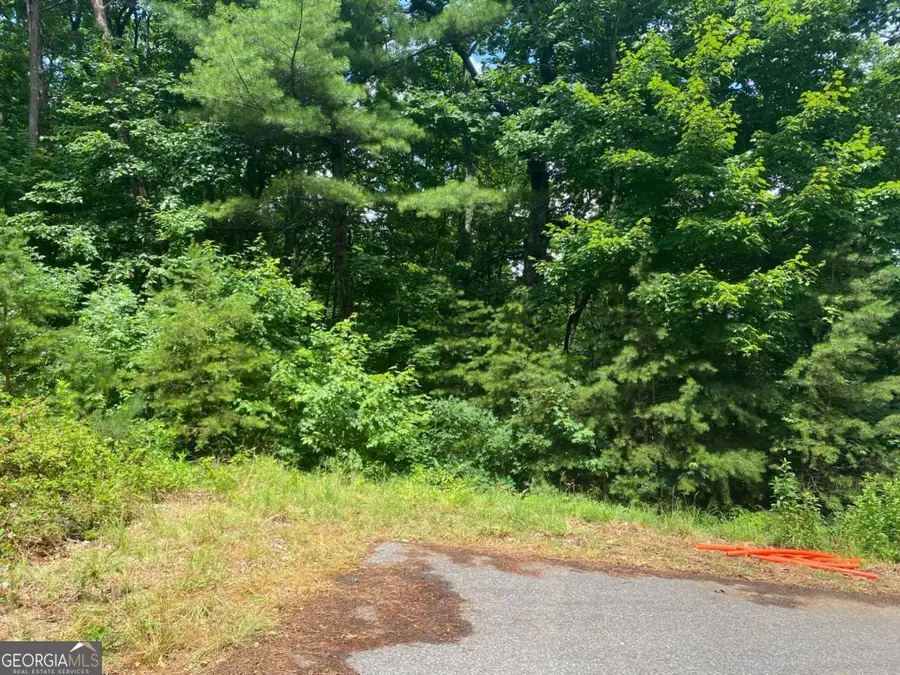 0 Sunrise Ridge #LOT 28, Blairsville, GA 30512 - #2