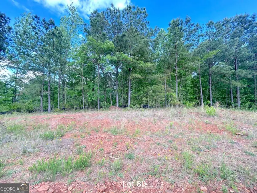 172 Oakdale Way, Temple, GA 30179 - #3