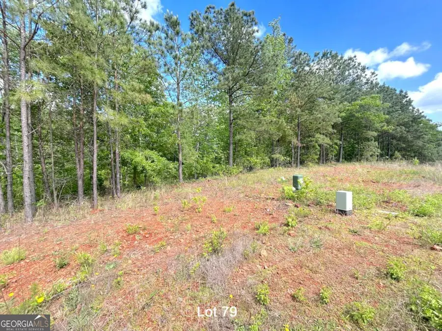 190 Oakdale Way, Temple, GA 30179 - #3