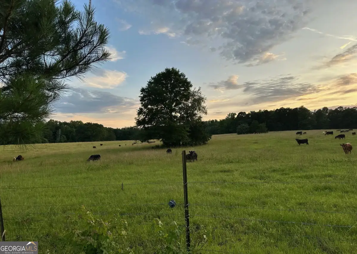 4091 Hollonville Rd, Williamson, GA 30292 - #1