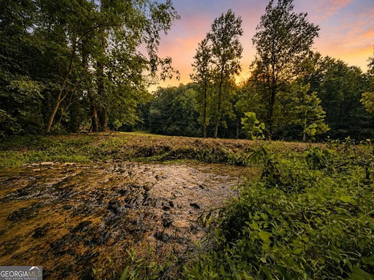 4.06 AC Licklog Trail, Ellijay, GA 30536 - #1