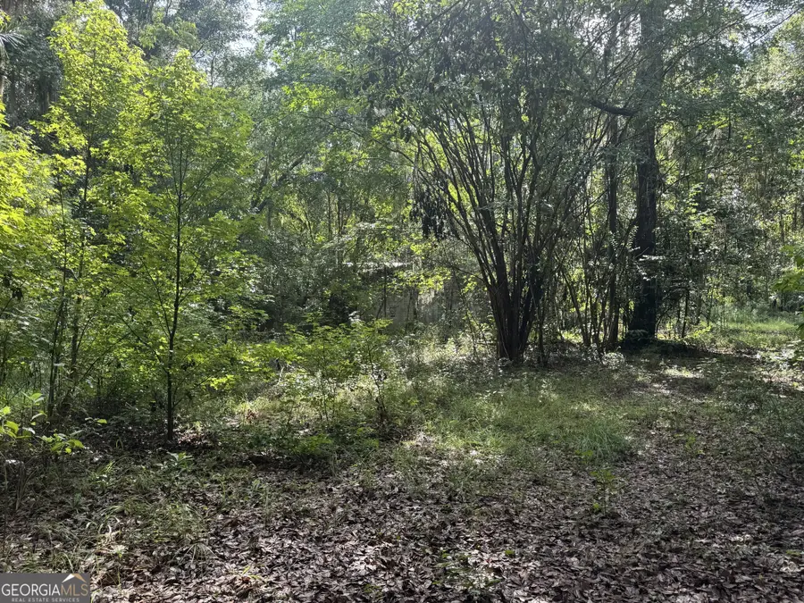 68 Johnson Road, Richmond Hill, GA 31324 - #2