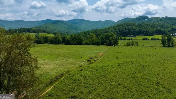 51.20 AC Bethabara Road, Hayesville, NC 28904