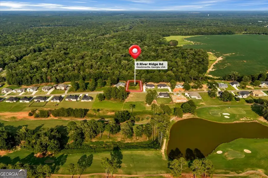 0 River Ridge Drive, Hawkinsville, GA 31036 - #2