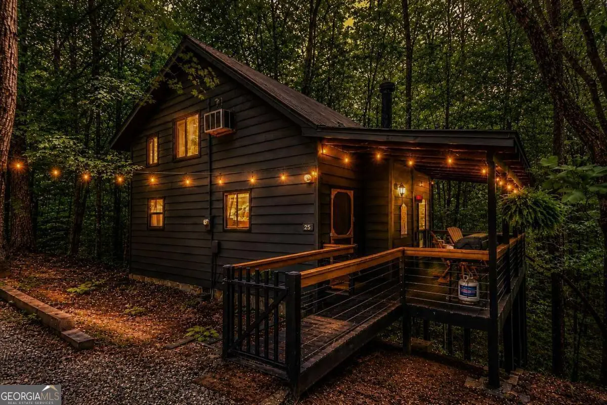 25 Nickwasi Way, Blue Ridge, GA 30513 - #1