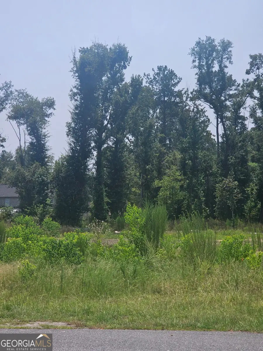0 Chesley Drive, Vidalia, GA 30474 - #2