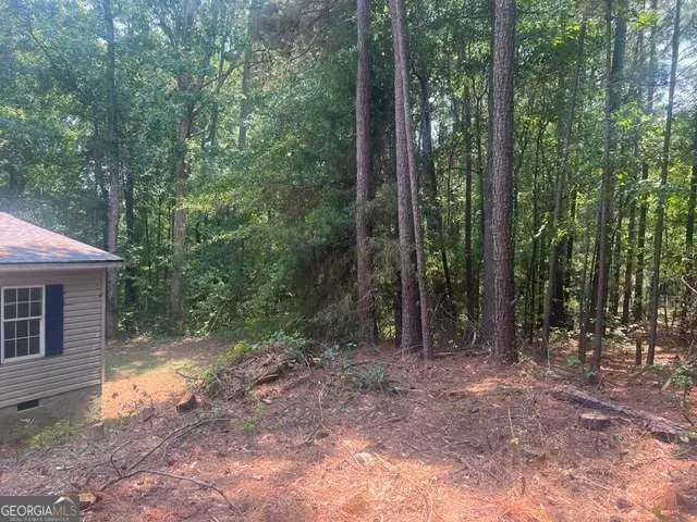 196 Old Scout Road, Jackson, GA 30233 - #2