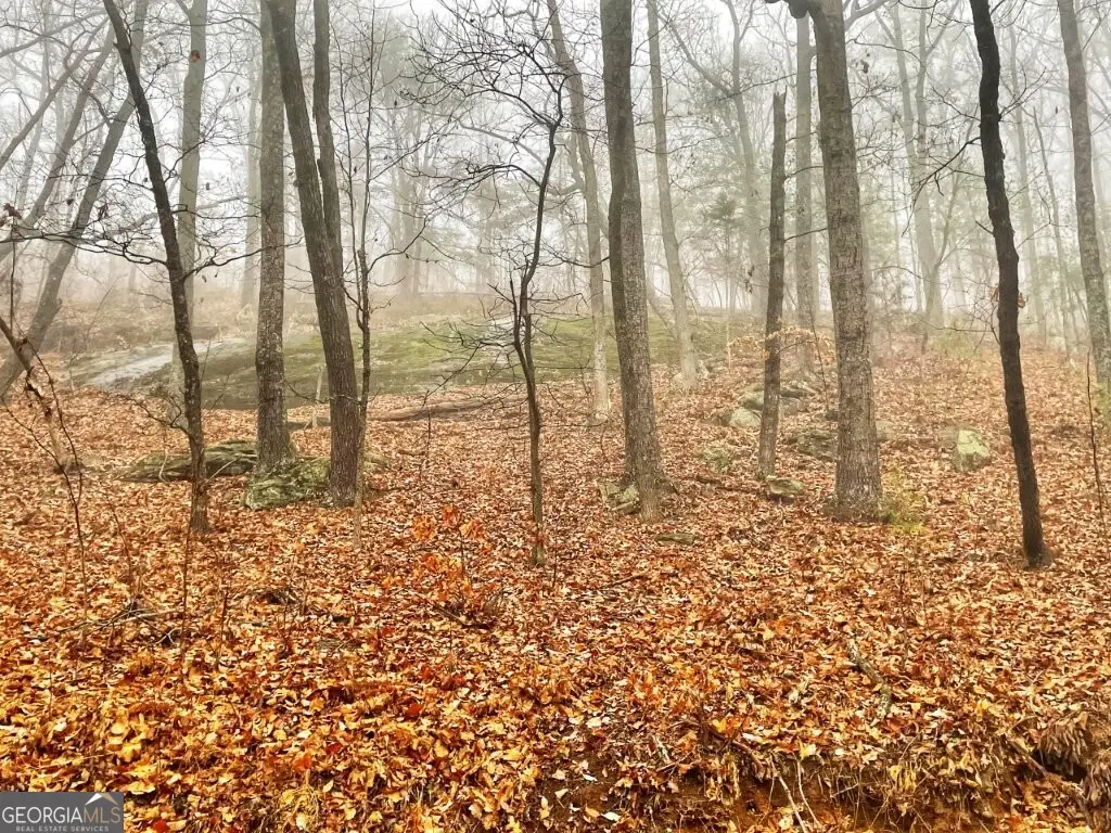 0 Fox Mountain Road, Gwaltneys, NC 28363 - #1