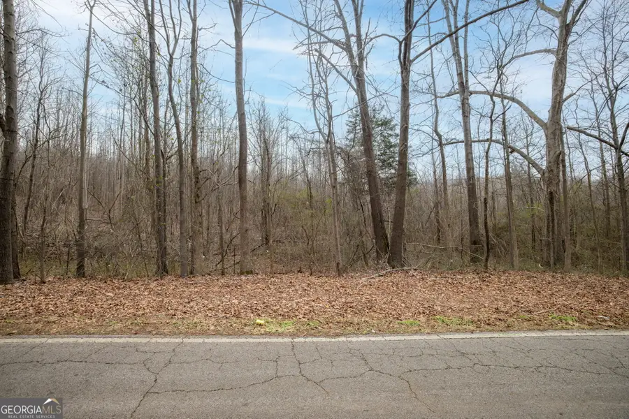 740 Broad River Church Rd Tract B, Eastanollee, GA 30538 - #2