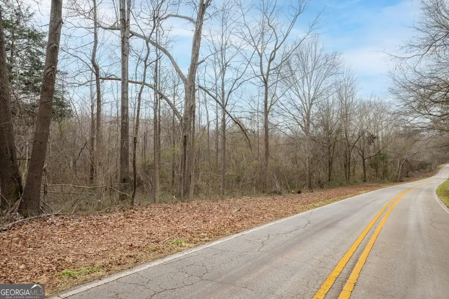 740 Broad River Church Rd Tract B, Eastanollee, GA 30538 - #3