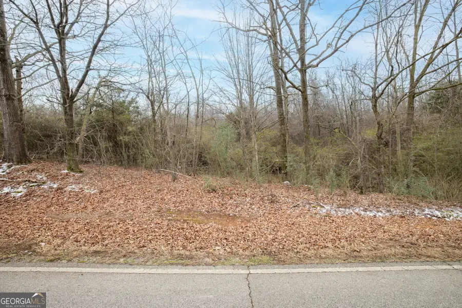 740 Broad River Church Rd Tract C, Eastanollee, GA 30538 - #2