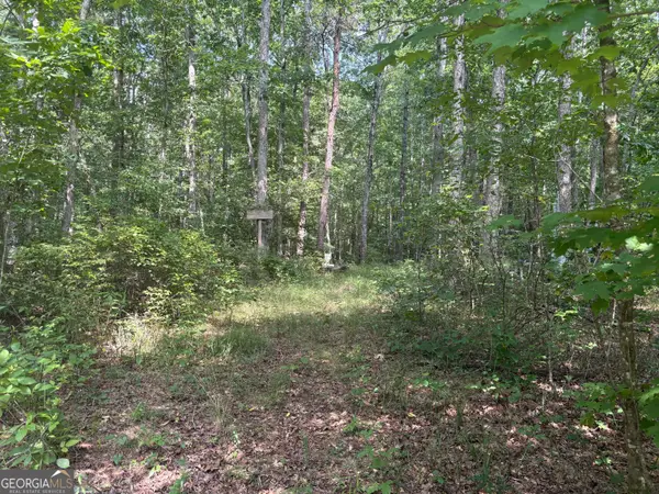 0 Griff Johnson Road, Menlo, GA 30731