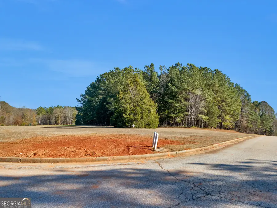 346 Tussahaw Trail, Jackson, GA 30233 - #3