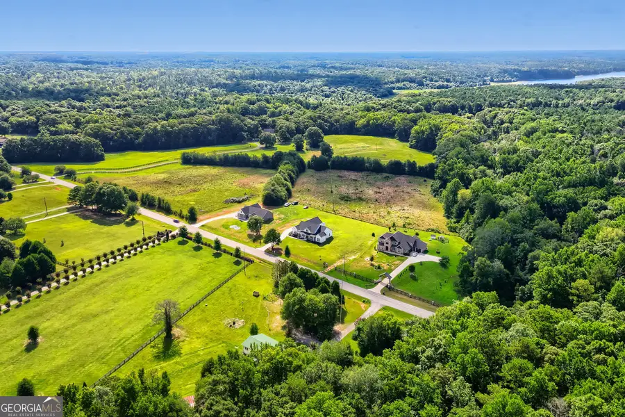 1225 Rocky Creek Road, Locust Grove, GA 30248 - #3