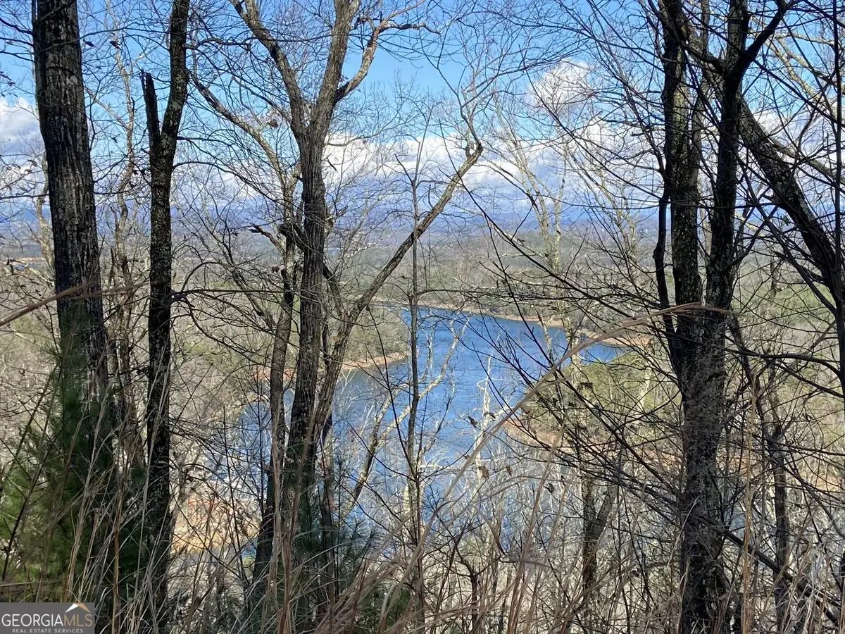 #139 Genessee Path, Blue Ridge, GA 30513 - #1