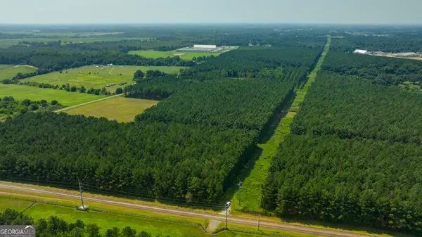 0 Northern County Line Road, Unadilla, GA 31091