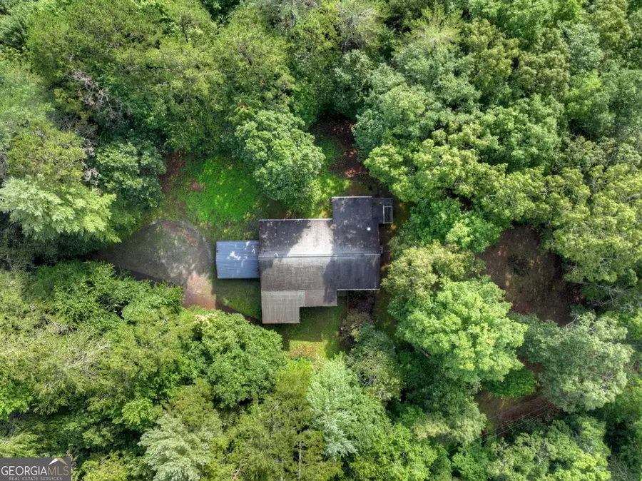 387 Ruby Lane, Mineral Bluff, GA 30559 - #3
