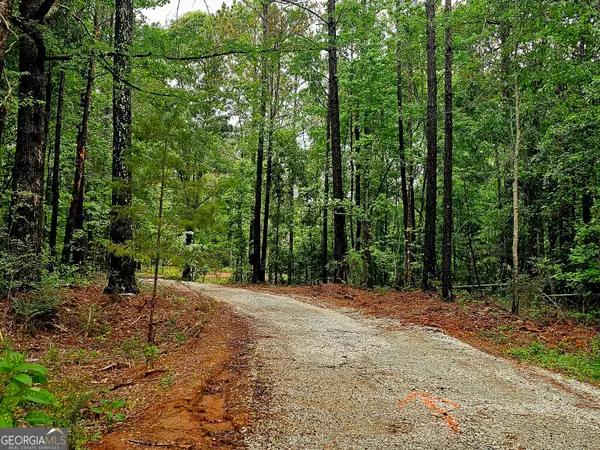 0 School House Hill Road, Franklin, GA 30217