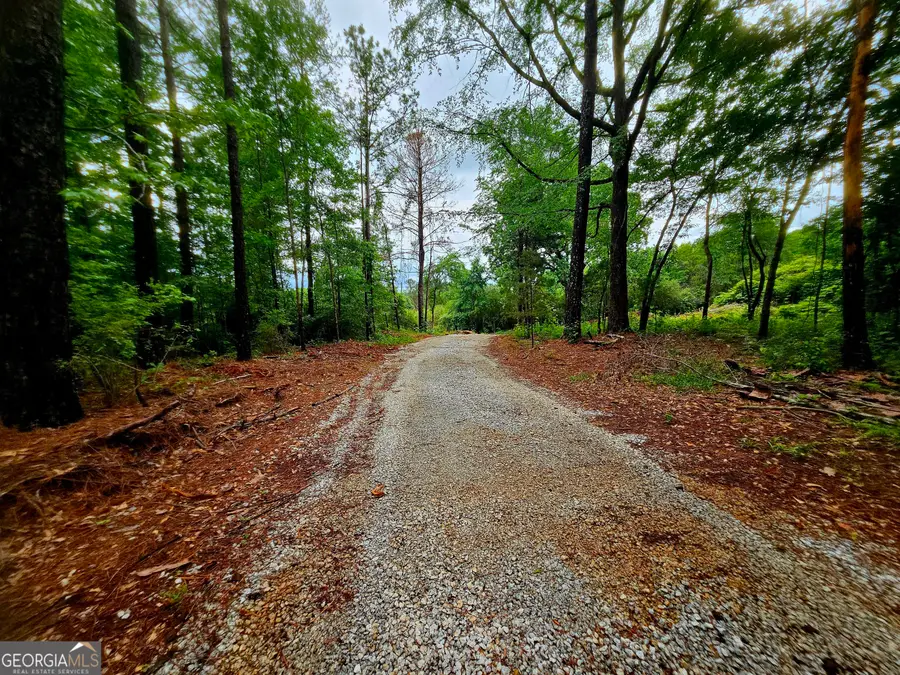0 School House Hill Road, Franklin, GA 30217 - #2