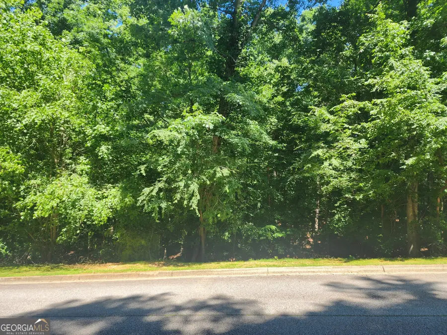 1034 City Market Street, Hoschton, GA 30548 - #2