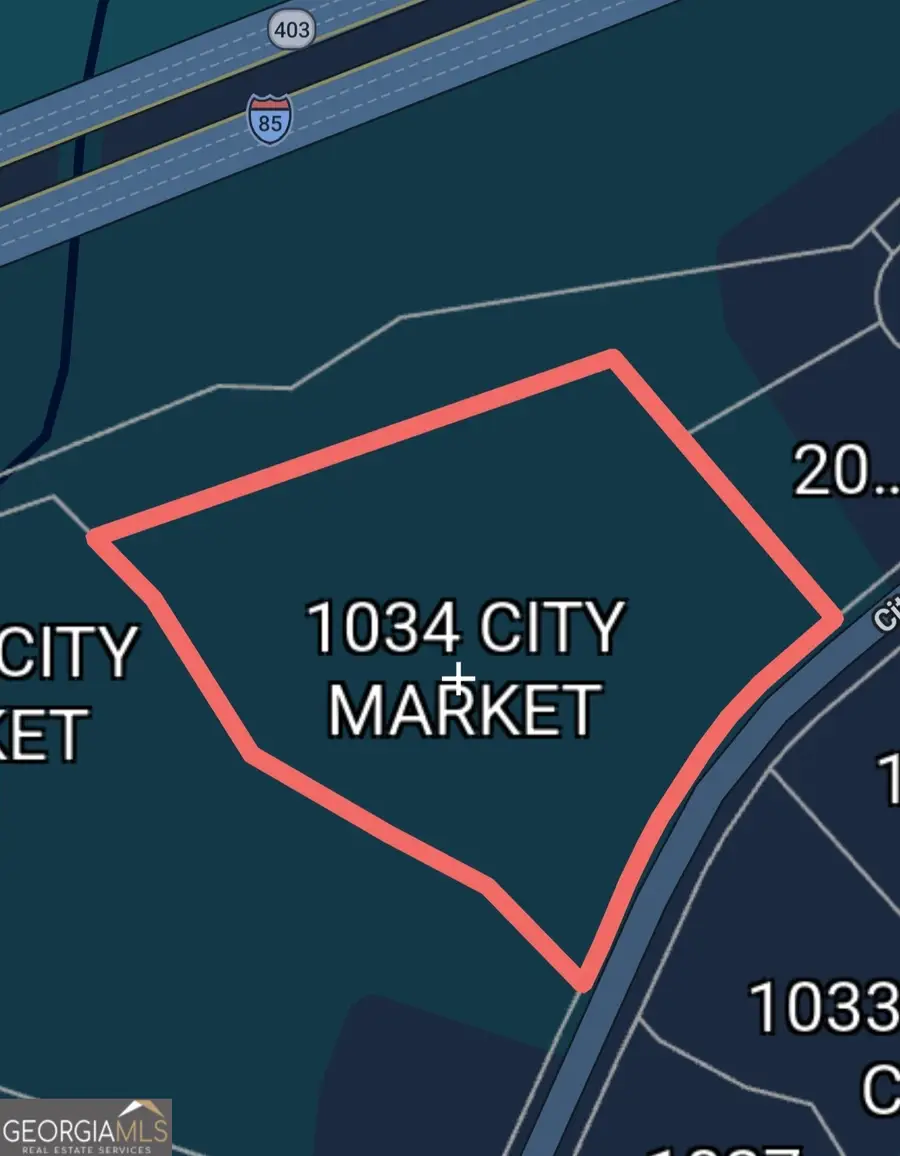 1034 City Market Street, Hoschton, GA 30548 - #3