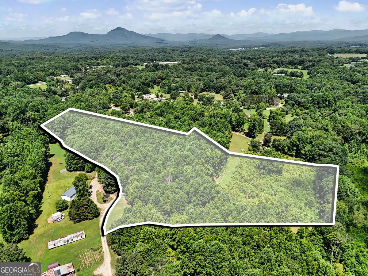 422 Fair Valley Road, Demorest, GA 30535 - #1