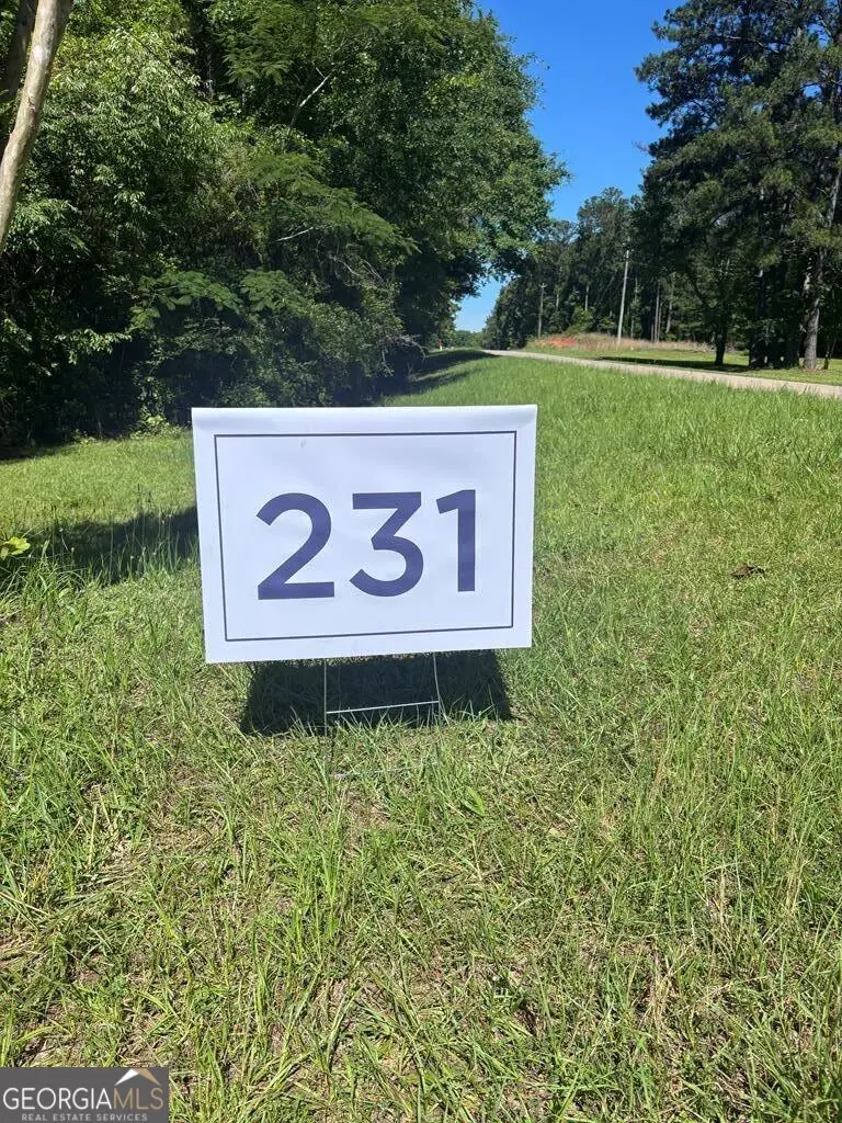 231 Lower Lovelace Road, West Point, GA 31833 - #2