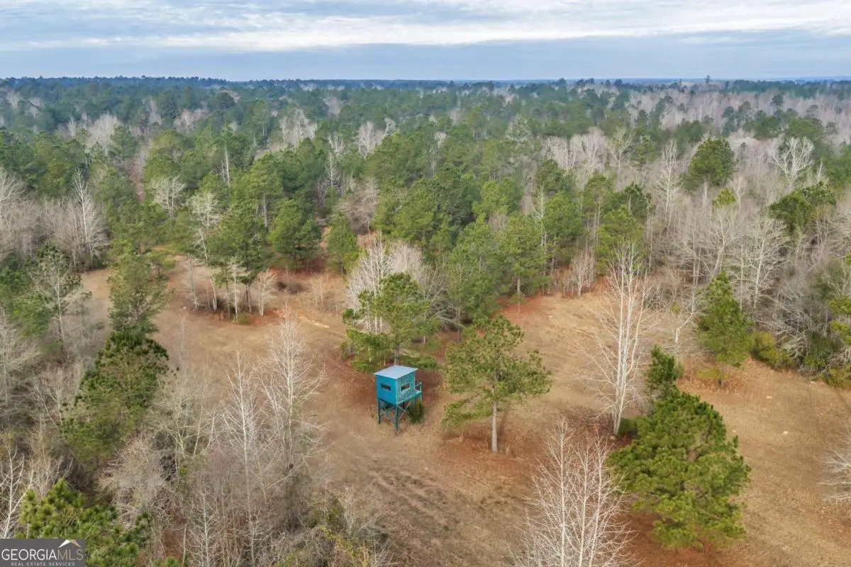 241 Foskey Cemetary Road, Adrian, GA 31002 - #1