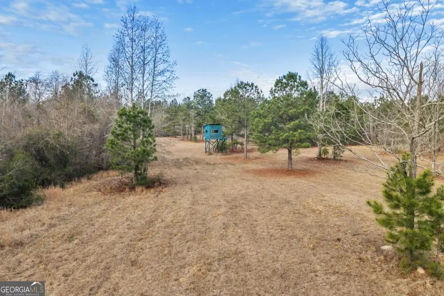 241 Foskey Cemetary Road, Adrian, GA 31002 - #2