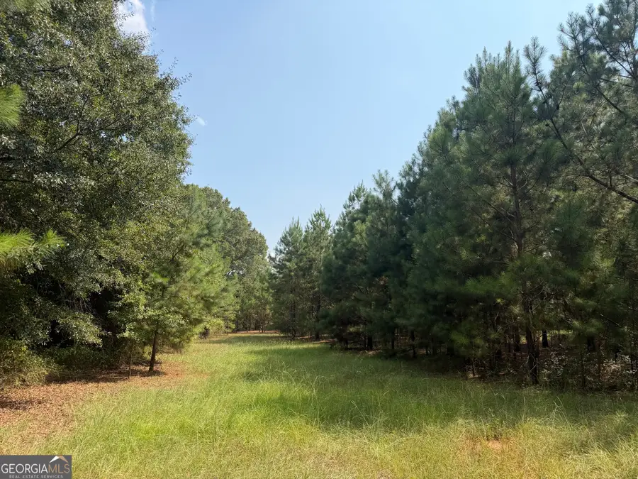 014 S Carter Fish Pond Road, Plains, GA 31780 - #2