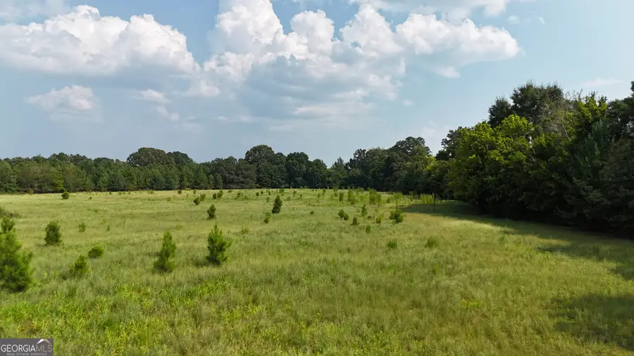 014 S Carter Fish Pond Road, Plains, GA 31780 - #3