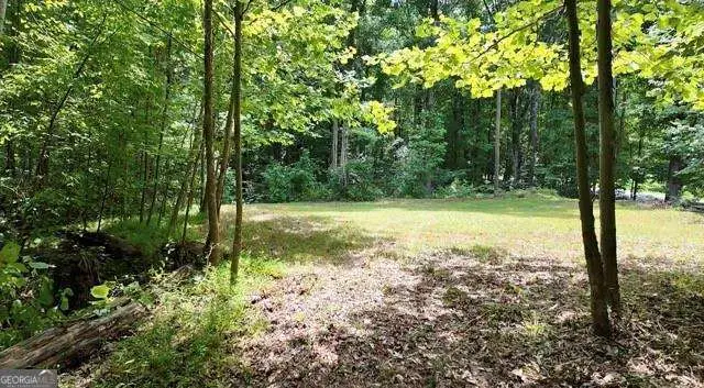 6260 White Mill Road, Fairburn, GA 30213 - #1
