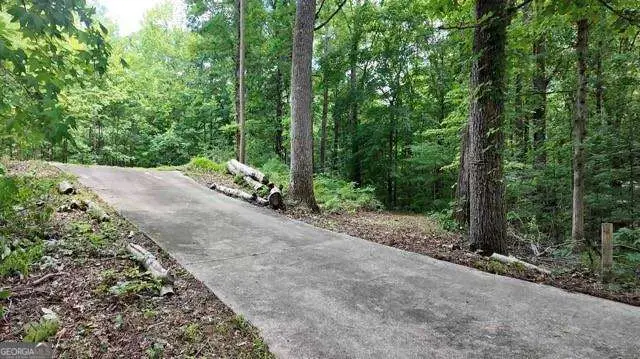 6260 White Mill Road, Fairburn, GA 30213 - #2