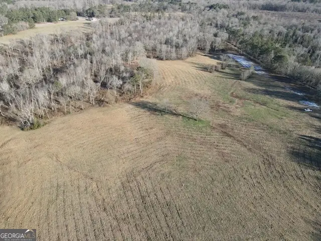 LOT 11 Gresham, Zebulon, GA 30295 - #3