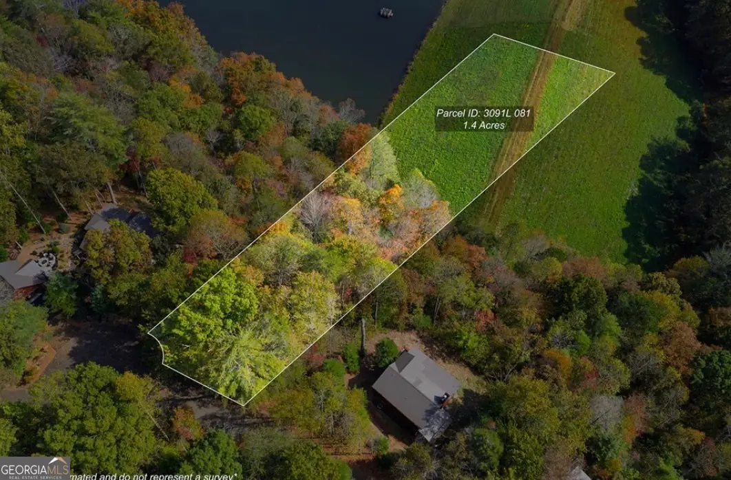 LOT 81 Lillie Drive, Ellijay, GA 30540 - #1