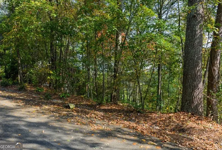 LOT 81 Lillie Drive, Ellijay, GA 30540 - #2