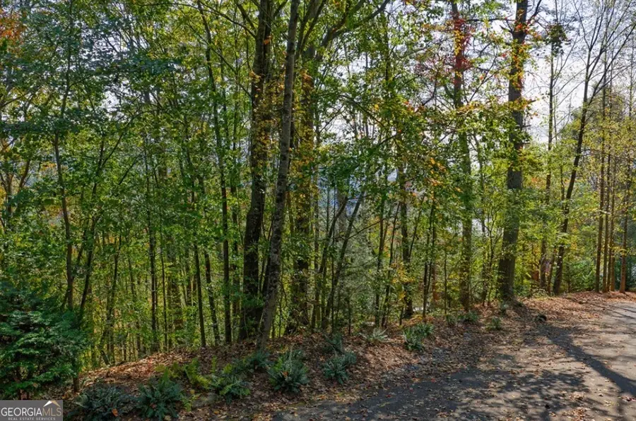 LOT 81 Lillie Drive, Ellijay, GA 30540 - #3