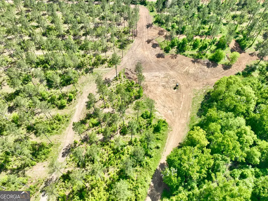 0 Poplar Springs Road, Byromville, GA 31007 - #2