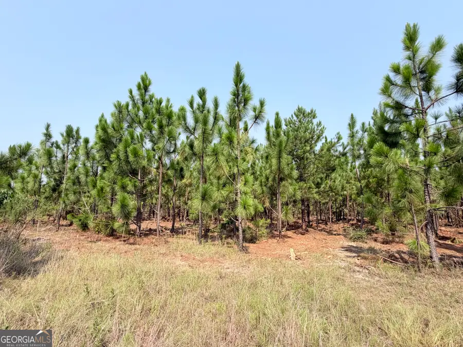 0 Erick Road, Alamo, GA 30411 - #2