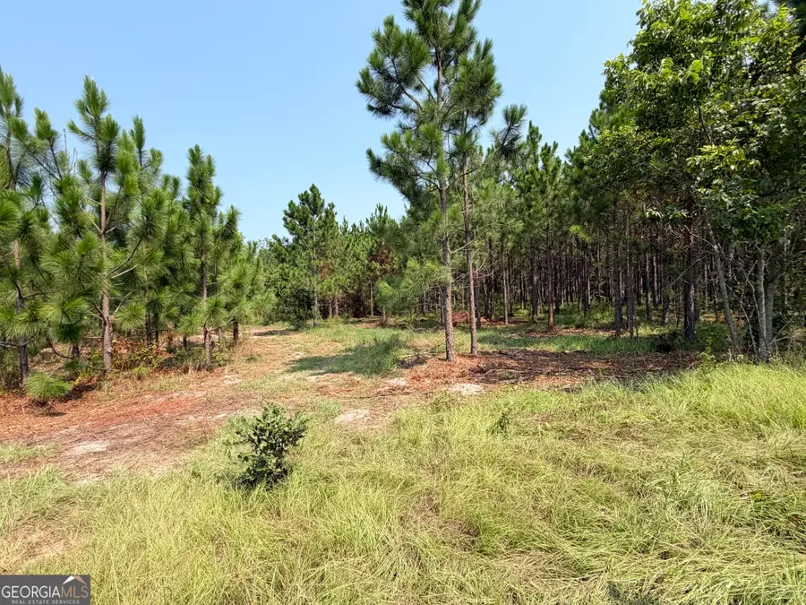 0 Erick Road, Alamo, GA 30411 - #3