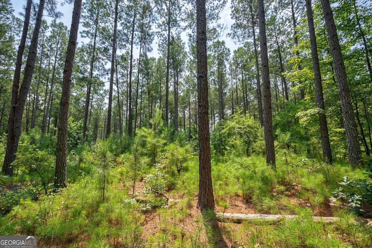 0 Jabez Poyner Road, Carlton, GA 30627 - #1