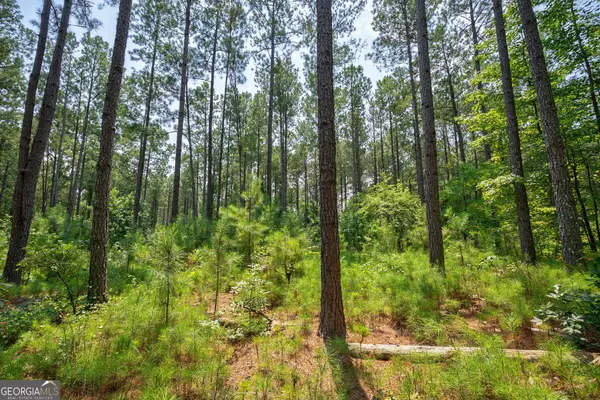 0 Jabez Poyner Road, Carlton, GA 30627